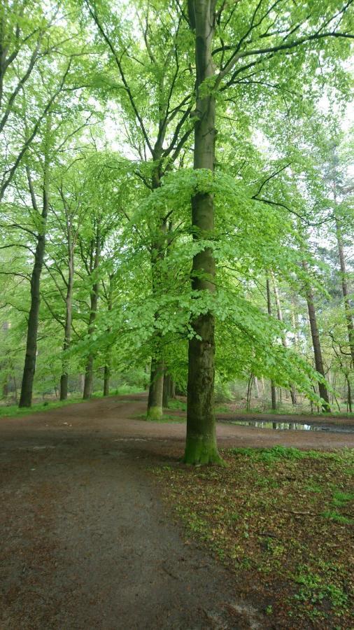 奥弗博什住宿加早餐旅馆 比尔特霍芬 外观 照片